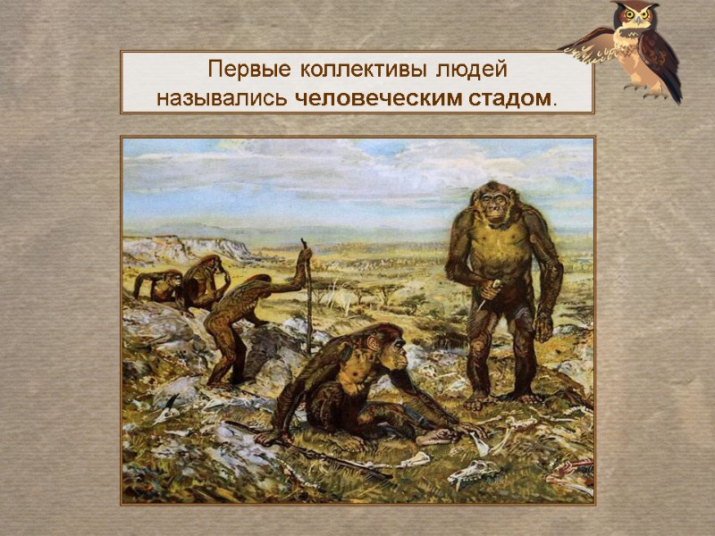 Первые коллективы людей  назывались человеческим стадом.